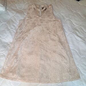 Perfection lace cream dress size 14P